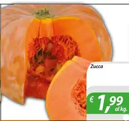 DiMeglio Zucca offerta