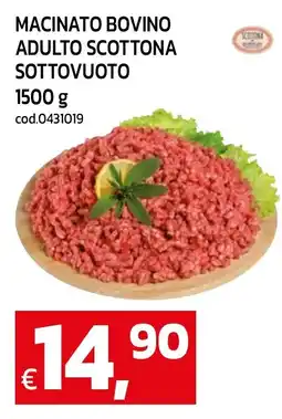 C+C maxigross Macinato bovino adulto Scottona offerta