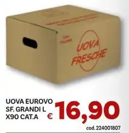 Vivo Supermercati Uova Eurovo offerta