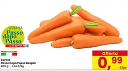 Eurospar Carote Passo Dopo Passo Despar offerta
