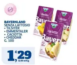Sigma Baviera senza lattosio offerta