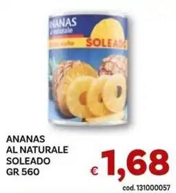 Vivo Supermercati Ananas al naturale Soleado offerta