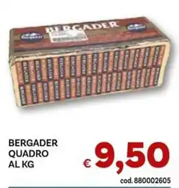 Vivo Supermercati Bergader quadro offerta