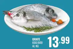 Gecop Orate offerta