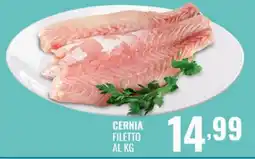Gecop Cernia filetto offerta
