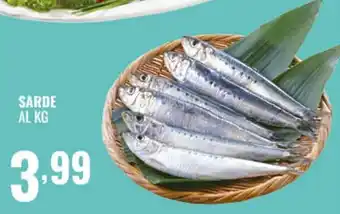 Gecop Sarde offerta