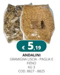 Altasfera Andalini Gramigna Liscia - Paglia e Fieno offerta