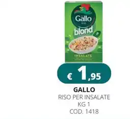 Altasfera Gallo riso per insalate offerta