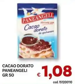 Vivo Supermercati Cacao dorato Paneangeli offerta