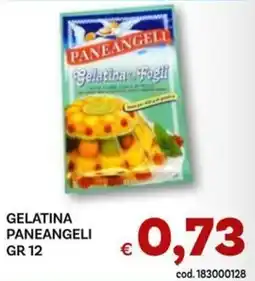 Vivo Supermercati Gelatina Paneangeli offerta