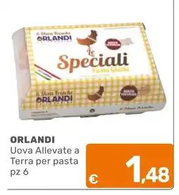 C+C Cash and Carry ORLANDI Uova Allevate a Terra per pasta offerta