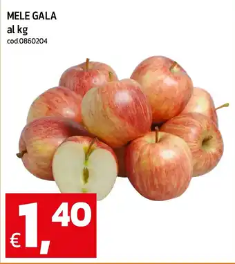 C+C maxigross Mele Gala offerta