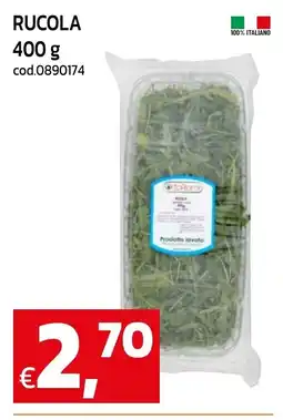 C+C maxigross Rucola offerta