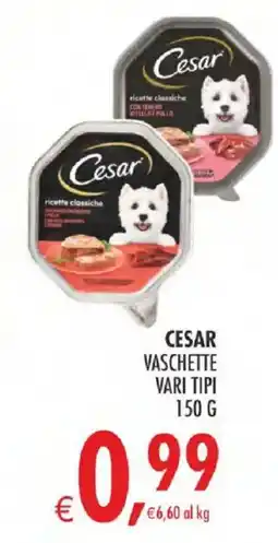 Deco Iperstore Cesar vaschette vari tipi offerta