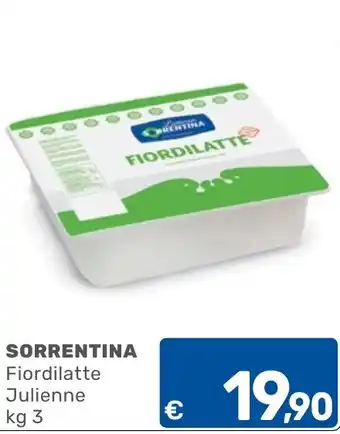 ARCA C+C cash and carry Fiordilatte Julienne offerta