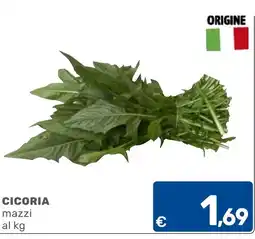 C+C Cash and Carry Cicoria mazzi offerta