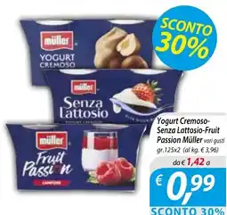 DiMeglio Yogurt Cremoso-Senza Lattosio-Fruit Passion Müller offerta