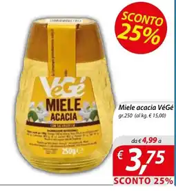 DiMeglio Miele acacia VéGé offerta
