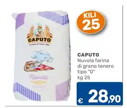C+C Cash and Carry Caputo Nuvola farina di grano tenero tipo "0" offerta