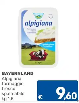 ARCA C+C cash and carry Alpigiana formaggio fresco spalmabile offerta