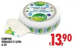 Deco Iperstore Campina Formaggio di Capra offerta