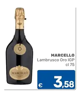 ARCA C+C cash and carry Marcello Lambrusco Oro IGP offerta