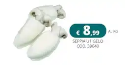 Altasfera Seppia U1 Gelo offerta