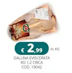 Altasfera Gallina eviscerata offerta