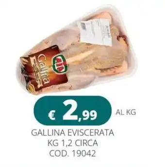 Gallina eviscerata