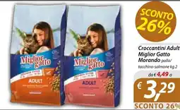 DiMeglio Croccantini Adult Miglior Gatto Morando offerta