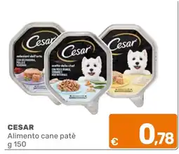 C+C Cash and Carry Cesar Alimento cane patè offerta