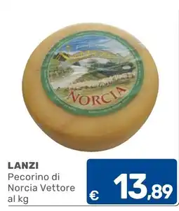 C+C Cash and Carry Pecorino di Norcia Vettore offerta