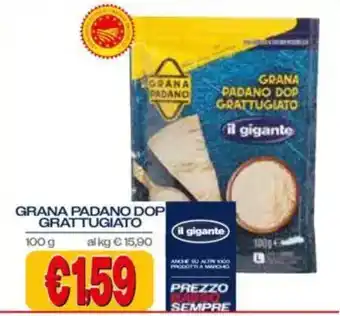 Grana Padano DOP Grattugiato il gigante