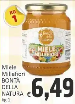Paghi Poco Miele Millefiori Bontà della natura offerta