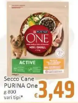 Paghi Poco Secco Cane PURINA One offerta