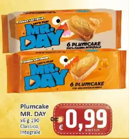 Paghi Poco Plumcake MR. DAY offerta