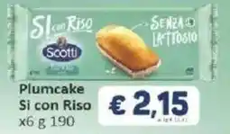 Paghi Poco Plumcake Si con Riso offerta