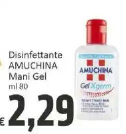 Paghi Poco Disinfettante AMUCHINA Mani Gel offerta