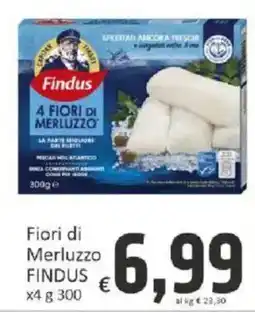 Paghi Poco Fiori di Merluzzo Findus offerta