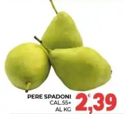 Eté Pere Spadoni offerta