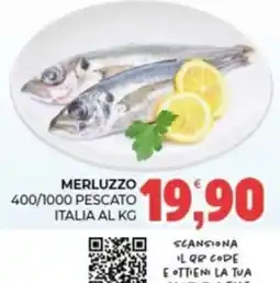 Eté Merluzzo offerta