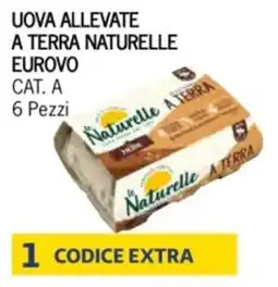 Eté Uova allevate a terra naturelle offerta