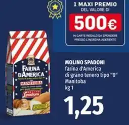 Famila Market Farina d'America Manitoba Molino Spadoni offerta