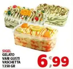 Mio Market Sigel gelato vari gusti vaschetta offerta
