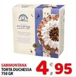 Mio Market Sammontana torta duchessa offerta