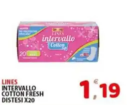 Premium Supermercati Lines intervallo cotton fresh offerta