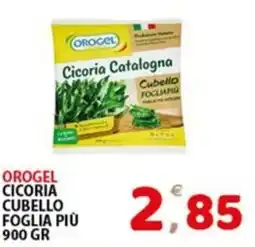 Premium Supermercati Orogel cicoria cubello foglia più offerta