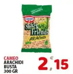 Premium Supermercati Cameo Snack Friends Arachidi offerta