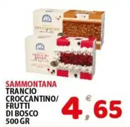 Premium Supermercati Sammontana Trancio Croccantino/ Frutti di Bosco offerta