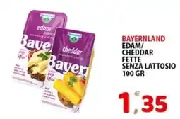 Premium Supermercati Bayer edam/cheddar offerta
